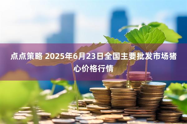 点点策略 2025年6月23日全国主要批发市场猪心价格行情
