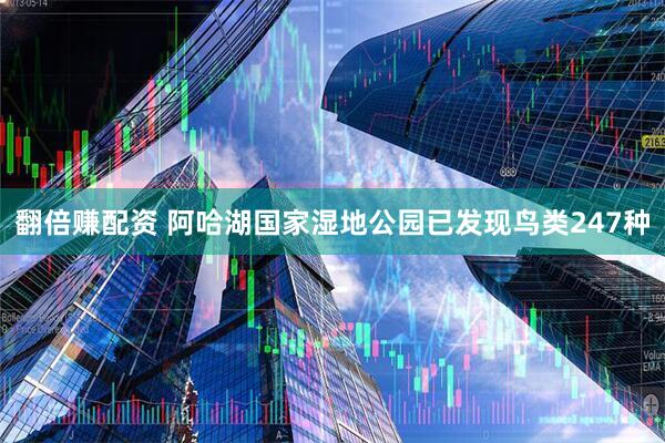 翻倍赚配资 阿哈湖国家湿地公园已发现鸟类247种