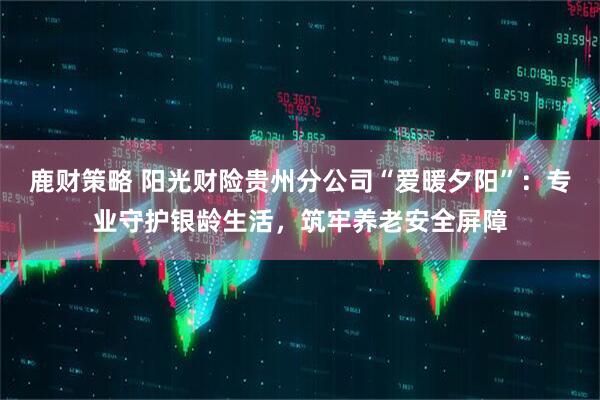 鹿财策略 阳光财险贵州分公司“爱暖夕阳”：专业守护银龄生活，筑牢养老安全屏障