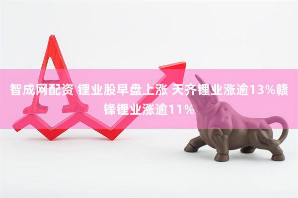 智成网配资 锂业股早盘上涨 天齐锂业涨逾13%赣锋锂业涨逾11%