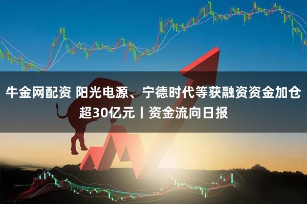 牛金网配资 阳光电源、宁德时代等获融资资金加仓超30亿元丨资金流向日报