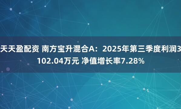 天天盈配资 南方宝升混合A：2025年第三季度利润3102.04万元 净值增长率7.28%