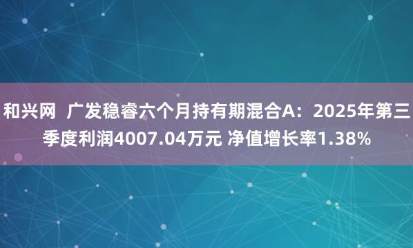 和兴网  广发稳睿六个月持有期混合A：2025年第三季度利润4007.04万元 净值增长率1.38%